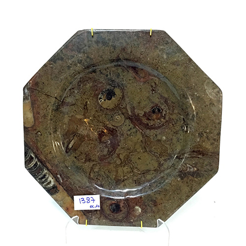 Sub.:10 - Lote: 337 -  Plato octogonal en mrmol con inclusiones de ammonites.