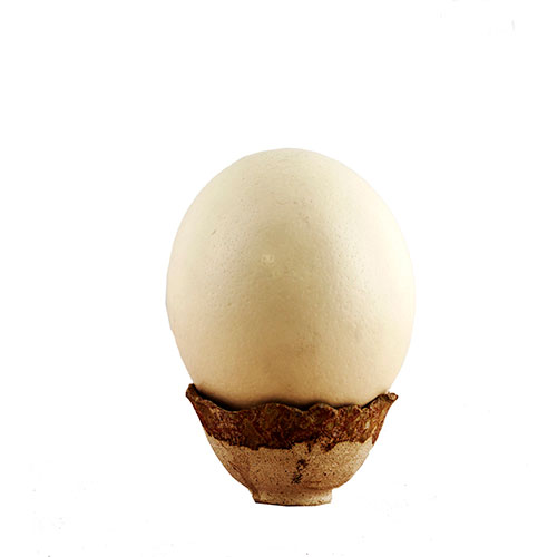 Sub.:10-On - Lote: 614 -  Huevo de avestruz con soporte cermico.