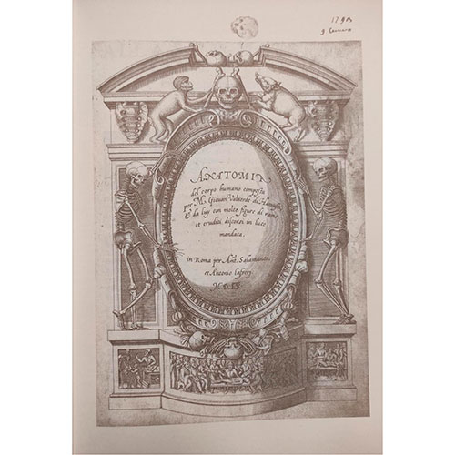 Sub.:11-On - Lote: 1313 -  Historia dell Anatomia. Edición facsimil