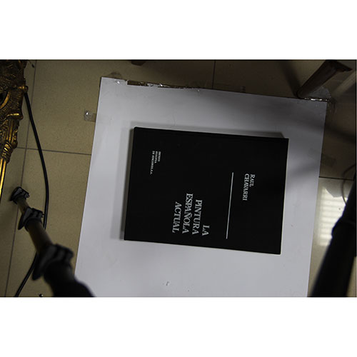 Sub.:13-On - Lote: 1369 -  