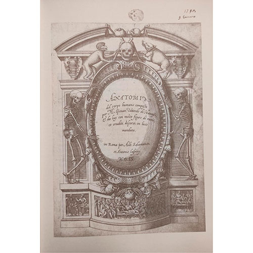 Sub.:15-Oc - Lote: 1023 -  Historia dell Anatomia. Edicin facsimil