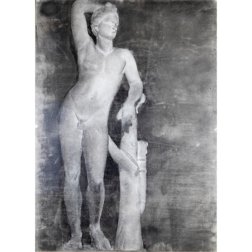 Sub.:16-Oc - Lote: 11 -  Estudio acadmico de anatoma