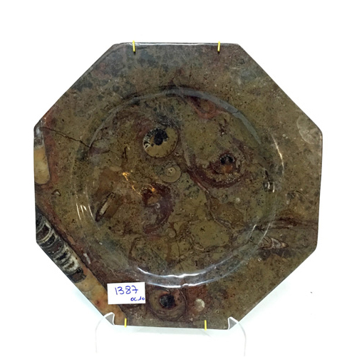 Sub.:2 - Lote: 1530 -  Plato octogonal en m�rmol con inclusiones de ammonites.
