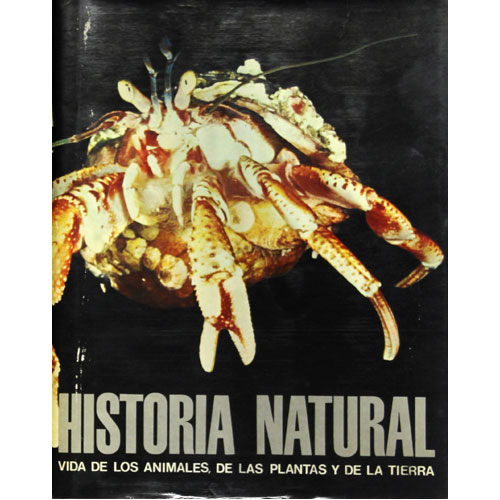 Sub.:21 - Lote: 2055 -  Historia natural. Zoologa (vertebrados e invertebrados), botnica y geologa