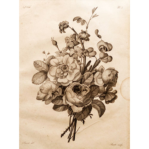 Sub.:23 - Lote: 14 -  Tres grabados enmarcados. Temas florales. A. Legrand Sculp. Uno de ellos con falta en el marco.