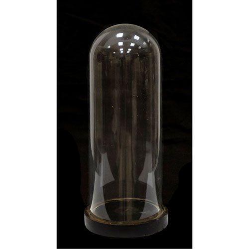 Sub.:24 - Lote: 348 -  Fanal de cristal con base en madera.