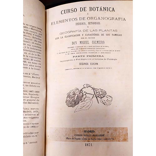 Sub.:25 - Lote: 2010 -  Curso de Botnica o Elementos de Organografa, Fisiologa, Metodologa y Geografa de las Plantas