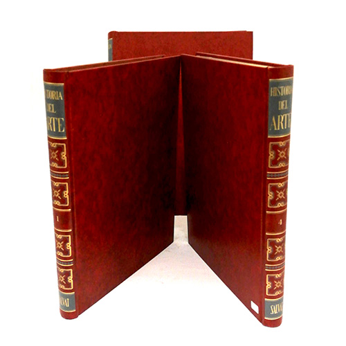 Sub.:3-On - Lote: 2135 -  Lote Colecci�n: Historia del Arte, SALVAT (Tomos I-VII)