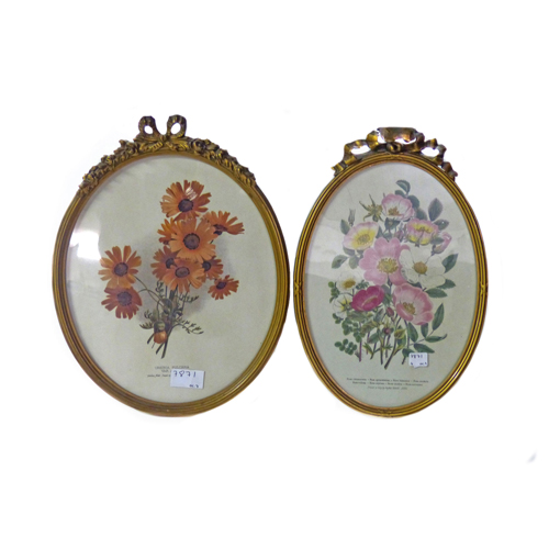 Sub.:3-On - Lote: 165 -  Marcos ovales estilo Luis XVI en madera dorada con l�minas de flores.