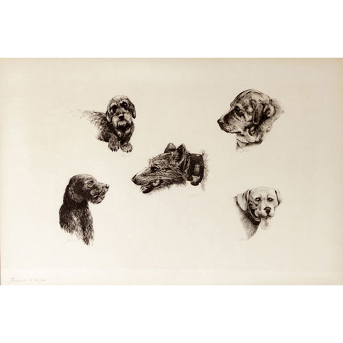Sub.:3 - Lote: 5 - ESCUELA ESPAOLA, S. XX Litografa enmarcada de temas cinegticos, cinco cabezas de perro. 