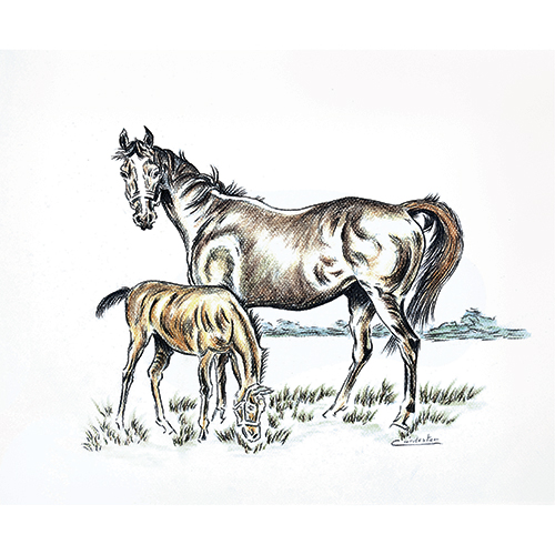 Sub.:38 - Lote: 91 -  Caballos