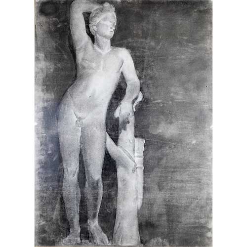 Sub.:39 - Lote: 6 -  Estudio acadmico de anatoma