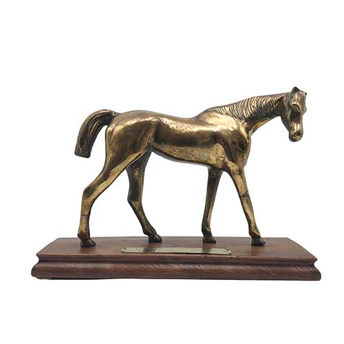 Sub.:39 - Lote: 338 -  Caballo