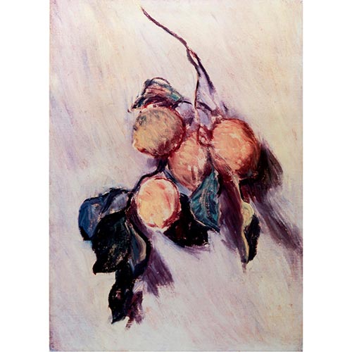 Sub.:4-On - Lote: 266 -  Limones