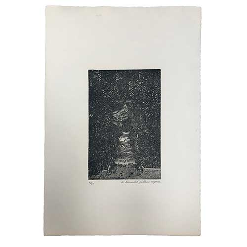 Sub.:41 - Lote: 18 - �NGEL PASCUAL RODRIGO (Mall�n 1955) Sin t�tulo