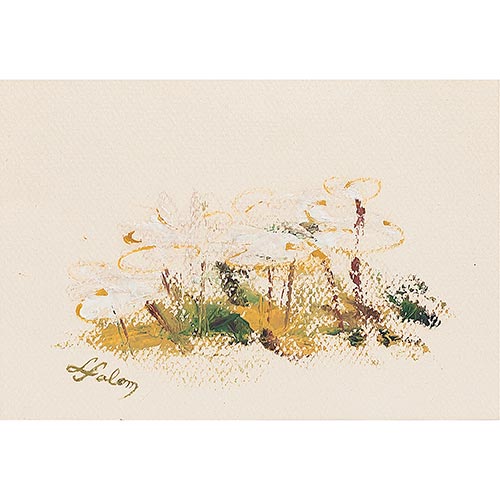 Sub.:6-On - Lote: 309 -  Flores blancas