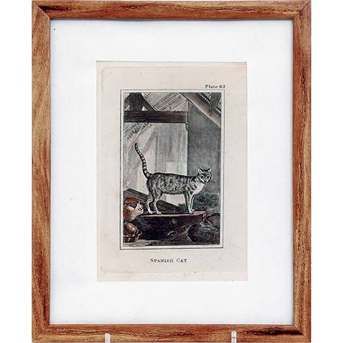 Sub.:7-On - Lote: 18 - BUFFON, Georges-Louis Leclerc , comte de (Borgo�a 1707-Paris 1788). Las grandes razas de gatos, seg�n LINNEO: para la obra de Buffon.