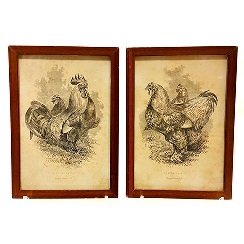 Sub.:7-On - Lote: 16 - ESCUELA INGLESA S. XIX Gallos y Gallinas