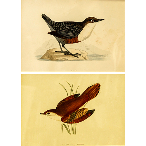 Sub.:9 - Lote: 121 - FRANCIS ORPEN MORRIS (1810 - 1893) Aves